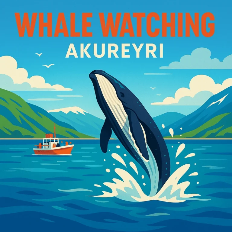 Whale Watching Akureyri